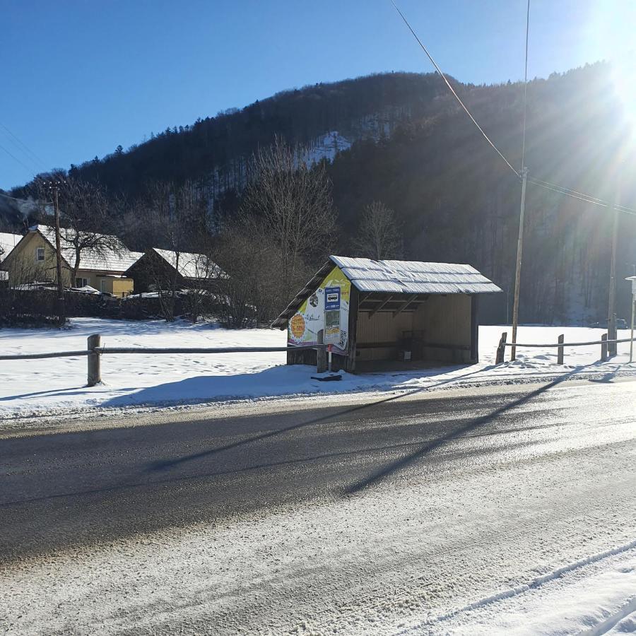 Dom Bystra Pod Chopkom & Wellness Exterior foto